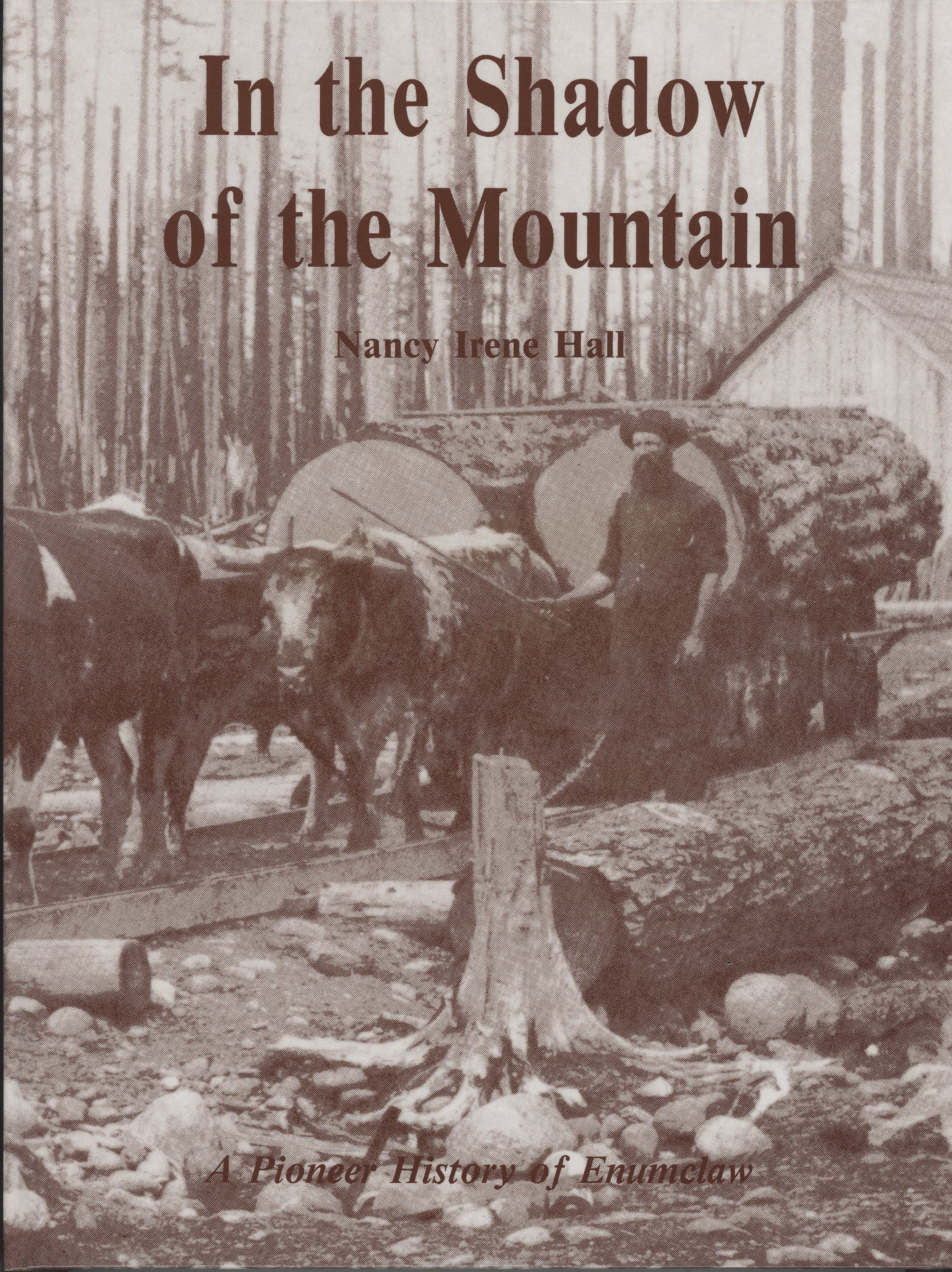 In The Shadow Of The Mountain - Hard cover
