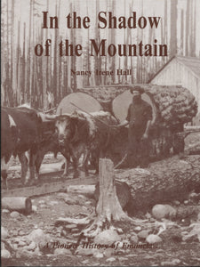 In The Shadow Of The Mountain - Hard cover