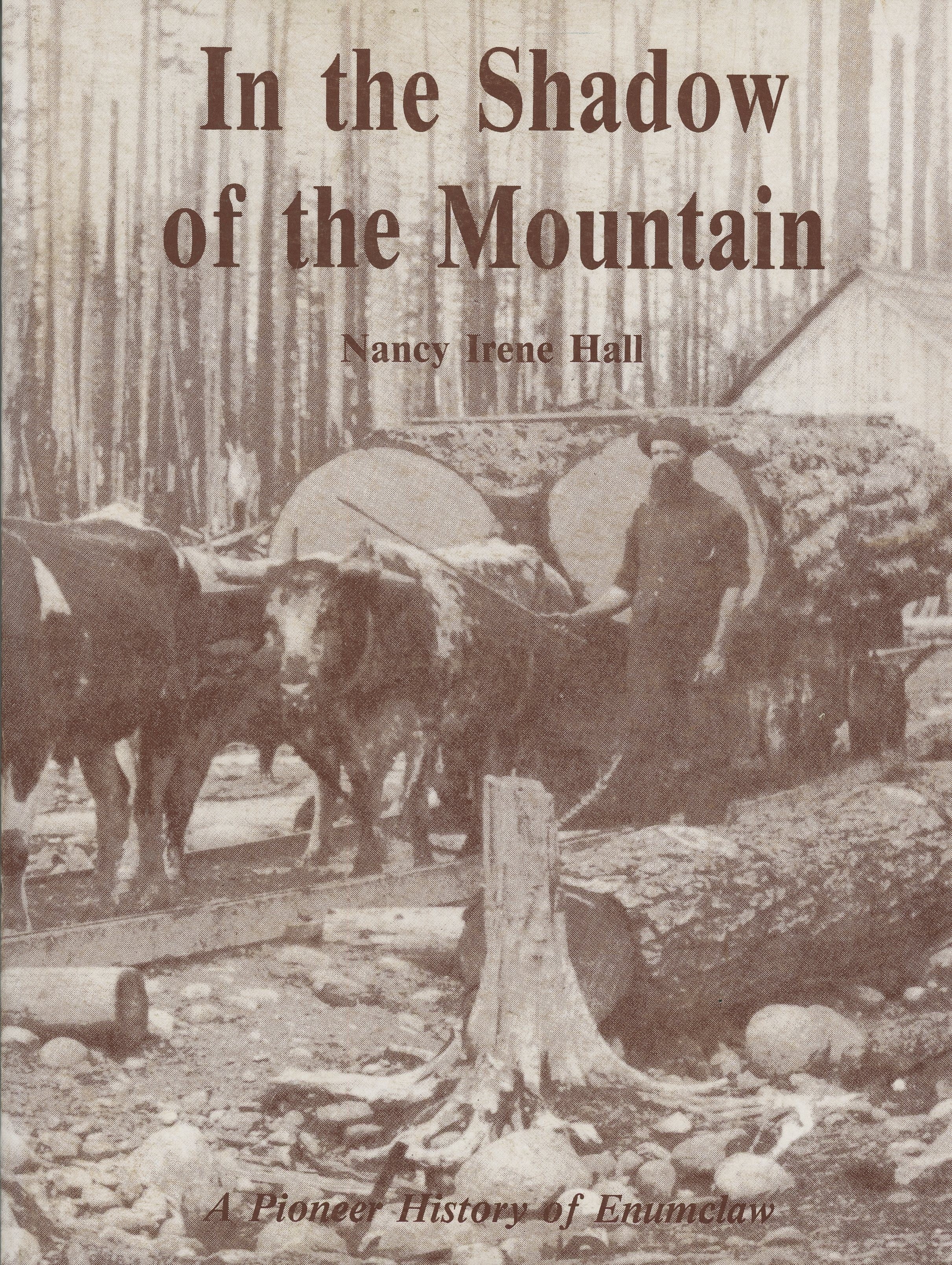 In The Shadow of the Mountain - Soft cover