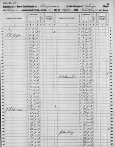 The Census Book: Facts, Schedules & Worksheets For The U.S. Federal Censuses - SOFTBOUND