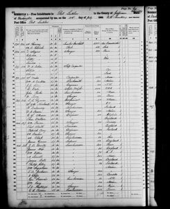 Washington Censuses & Substitute Name Lists 1850-2015 - Washington State - SOFTBOUND