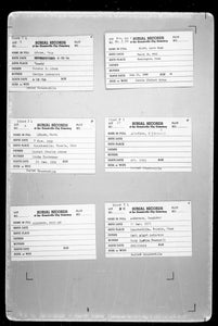 Utah Censuses & Substitute Name Lists, 1847-2014 - PDF eBook