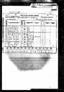 Nebraska Censuses & Substitute Name Lists 1854-2000 - SOFTBOUND