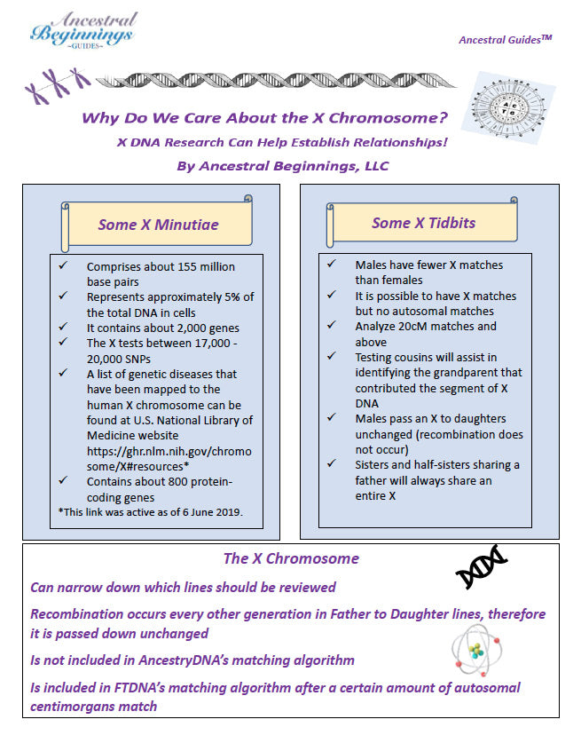 Why Do We Care About the X Chromosome? Ancestral Guide